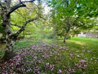 Farmhouse and stonebuilt house Dieulefit #017002 Boschi Real Estate