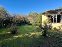 Villa Maussane-les-Alpilles #017196 Boschi Real Estate