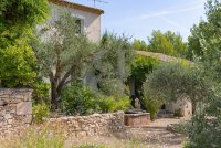 Mas Maussane-les-Alpilles #017230 Boschi Prestige