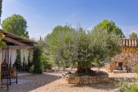 Mas Maussane-les-Alpilles #017230 Boschi Prestige