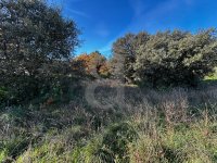 Terrain constructible Carpentras #017247 Boschi Real Estate