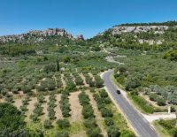 La région des Alpilles : Un joyau provençal