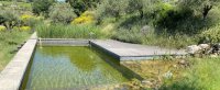 Luxury swimmingpool in Provence