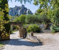 La région des Alpilles : Un joyau provençal